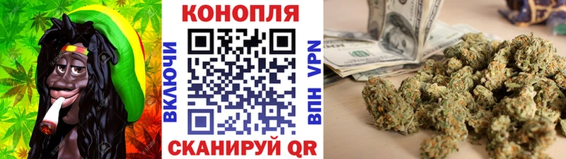закладка  Ахтырский  МЕГА как зайти  Бошки марихуана семена 